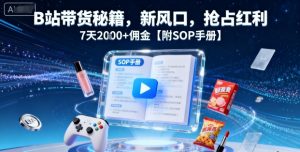 B站带货秘籍,新风口,抢占红利,7天2k+佣金【附SOP手册】-壹浩聊项目