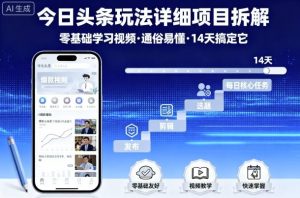 今日头条玩法详细项目拆解,零基础学习视频 通俗易懂 14天搞定它-壹浩聊项目