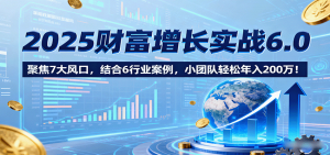 2025财富增长实战6.0,聚焦7大风口,结合6行业案例,小团队轻松年入200万!-壹浩聊项目