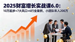 2025财富增长实战课6.0:10万起步+7大风口+6行业案例,小团队年入200万-壹浩聊项目