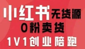小红书无货源0粉电商课,开店准备、选品策略、笔记撰写、视频剪辑、数据分析、账号打造、资料文档-壹浩聊项目