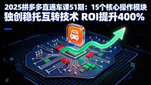 2025拼多多直通车课51期：15个核心操作模块 独创稳托互转技术 ROI提升400%-壹浩聊项目