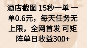 酒店截图项目,15秒一单,一单0.6米,每天任务无上限,全网首发可矩阵单日收益3张+【揭秘】-壹浩聊项目