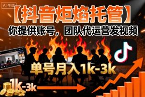 【抖音炬焰托管】你提供账号，团队代运营发视频，单号月入1k+【揭秘】-壹浩聊项目