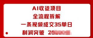 AI收徒项目全流程拆解一条视频成交35单日利润突破1k+-壹浩聊项目