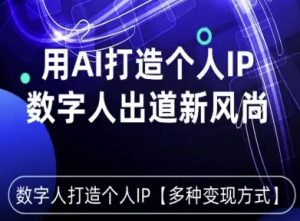用星幻AI数字人打造个人IP，实现多种变现方式，数字人出道新风尚-壹浩聊项目