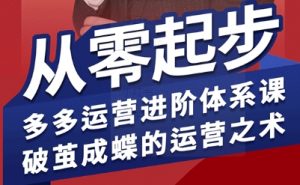 拼多多运营进阶系统课,从零起步,多多运营进阶体系课,破茧成蝶的运营之术(更新9月)-壹浩聊项目