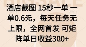 酒店截图15秒一单，一单0.6米，每天任务无上限，全网首发可矩阵单日收益3张【揭秘】-壹浩聊项目