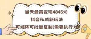 当天最高变现1k+，抖音私域新玩法，可矩阵可批量复制-壹浩聊项目