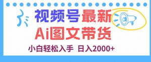 视频号最新AI图文带货，每天几分钟，小白轻松入手，日入2000+-壹浩聊项目