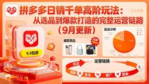 拼多多日销千单高阶玩法:从选品到爆款打造的完整运营链路(9月更新-壹浩聊项目