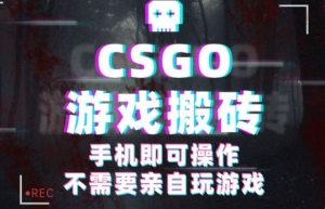 CSGO游戏挂G捡漏,单日扫货5张+,年底小高峰上车可吃肉,手机即可操作,兼职副业创业网创【揭秘】-壹浩聊项目