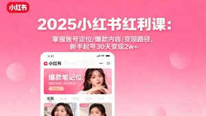 2025小红书红利课:掌握账号定位/爆款内容/变现路径,新手起号30天变现2w+-壹浩聊项目