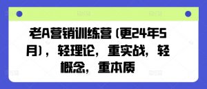 老A营销训练营(更25年10月),轻理论,重实战,轻概念,重本质-壹浩聊项目