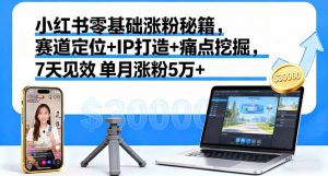 小红书零基础涨粉秘籍,赛道定位+IP打造+痛点挖掘,7天见效 单月涨粉5万+-壹浩聊项目