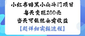 小红书暗黑小众冷门项目每天变现2张当天可能就会有收益-壹浩聊项目