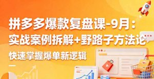 拼多多爆款复盘课-9月:实战案例拆解+野路子方法论,快速掌握爆单新逻辑-壹浩聊项目