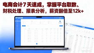 电商会计7天速成,掌握平台取数、财税处理、报表分析,薪资翻倍至12k+-壹浩聊项目