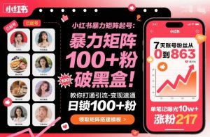 小红书暴力矩阵起号,教你打通引流-变现速通,日锁100+粉,破流量黑盒-壹浩聊项目