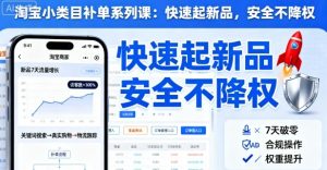 淘宝小类目补单系列课,快速起新品,安全不降权-壹浩聊项目