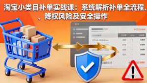 淘宝小类目补单实战课:系统解析补单全流程、降权风险及安全操作-壹浩聊项目