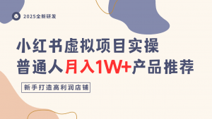 小红书虚拟项目实操指南,普通人月入1W+产品推荐,直接抄-壹浩聊项目