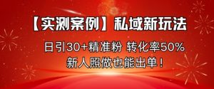 【实测案例】私域新玩法,日引30+精准粉,转化率50%,新人照做也能出单!-壹浩聊项目