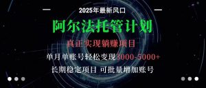 阿尔法托管计划 单账号月入3000-5000,长期稳定项目,新手小白轻松上手-壹浩聊项目