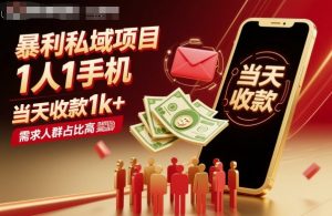 暴利私域项目1人1手机,当天收款1k+,需求人群占比高,当天就能见到钱-壹浩聊项目