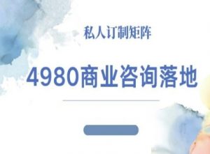 4980商业咨询师落地课程-ip运营高客单教程-壹浩聊项目