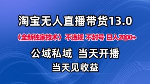 淘宝无人直播13.0，公域私域技术，不封号，不违规布局下半年旺季赛道，日入1K+(独家技术)【揭秘】-壹浩聊项目