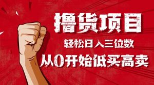 手把手教你撸货,从0开始低买高卖,小白轻松实现日入三位数!!!-壹浩聊项目