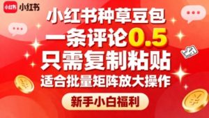 小红书种草豆包,一条评论0.5,只需复制粘贴,适合批量矩阵放大操作,新手小白福利-壹浩聊项目