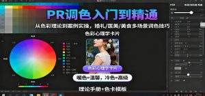 PR调色入门到精通:从色彩理论到案例实操,婚礼/医美/美食多场景调色技巧-壹浩聊项目