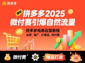 拼多多2025微付费引爆自然流量,拼多多电商运营教程,运营、推广、打爆品、微付费(更新)-壹浩聊项目