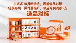 拼多多10月新玩法,涵盖选品对标、链接布局、微付费推广,单店月利润破5万-壹浩聊项目