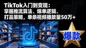 TikTok入门到变现:掌握推流算法、爆单逻辑、打品策略,单条视频播放量50w-壹浩聊项目