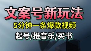 文案号新玩法,5分钟一条爆款视频,流量高,起号快,多方位变现-壹浩聊项目