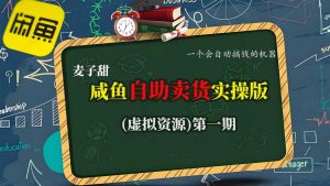 麦子甜咸鱼自助卖货实操版(虚拟资源)一个会自动搞钱的机器-壹浩聊项目