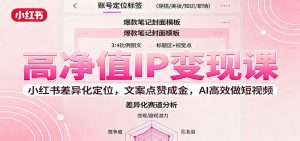 高净值IP变现课:小红书差异化定位,文案点赞成金, AI高效做短视频-壹浩聊项目