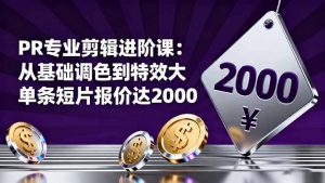 PR专业剪辑进阶课:从基础调色到特效大片的进阶技能,单条短片报价达2000-壹浩聊项目