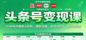 头条号变现课:43W纯流量收入经验,爆款选题,拆文6步法,多平台同步-壹浩聊项目