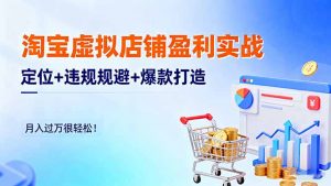 淘宝虚拟店铺盈利实战:定位+违规规避+爆款打造,月入过万很轻松!-壹浩聊项目
