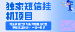 2025全新电脑挂机项目 操作简单,单机当天收益1000+,收益无上限,可…-壹浩聊项目
