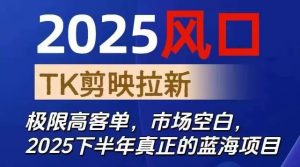2025风口TK剪映capcut拉新项目,极限高客单,市场空白,2025下半年真正的蓝海项目-壹浩聊项目