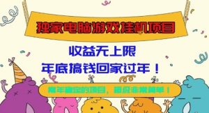 独家电脑游戏挂G项目,常年稳定,收益无上限,年底搞钱回家过年【揭秘】-壹浩聊项目