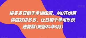 拼多多日销千单训练营,从0开始带你做好拼多多,让日销千单可以快速复制(更新25年10月)-壹浩聊项目