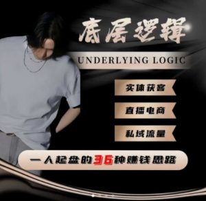 一个人起盘的底层逻辑,私域流量-直播电商-实体获客,一人起盘的36种賺钱思路-壹浩聊项目