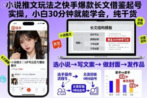 小说推文玩法之快手爆款长文借鉴起号实操,小白30分钟就能学会,纯干货-壹浩聊项目