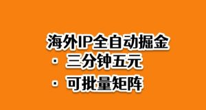 海外ip全自动掘金,2025必做蓝海项目,3分钟落地,矩阵直接开干【揭秘】-壹浩聊项目
